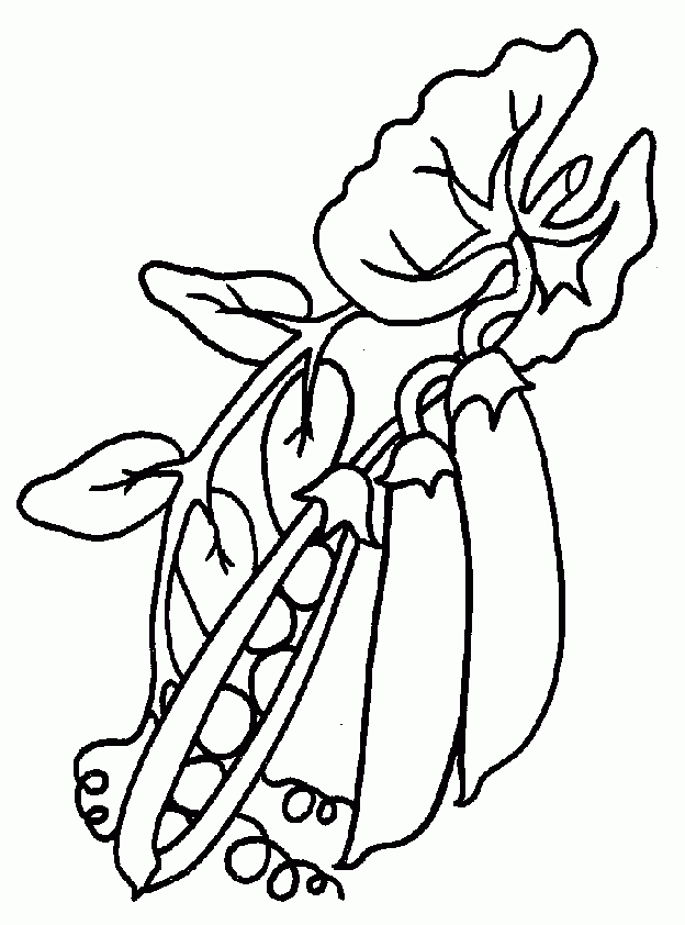 Горох растет