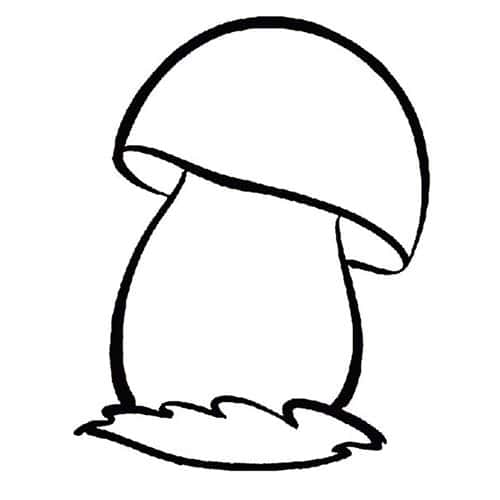 Гриб 2