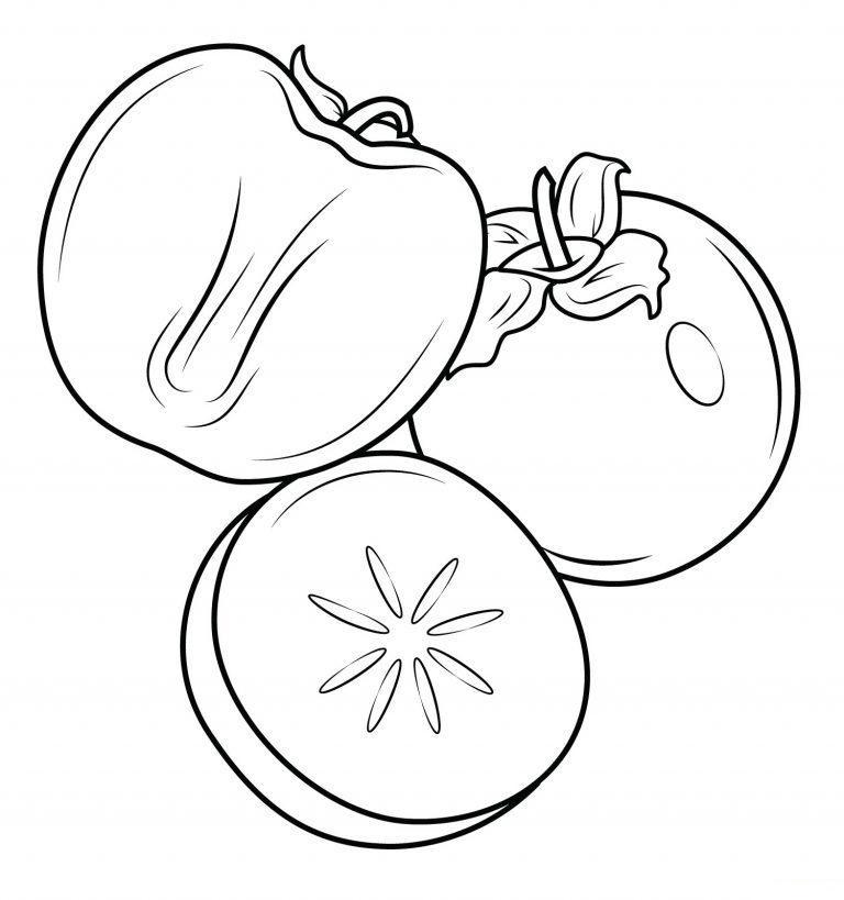 Хурма в разрезе