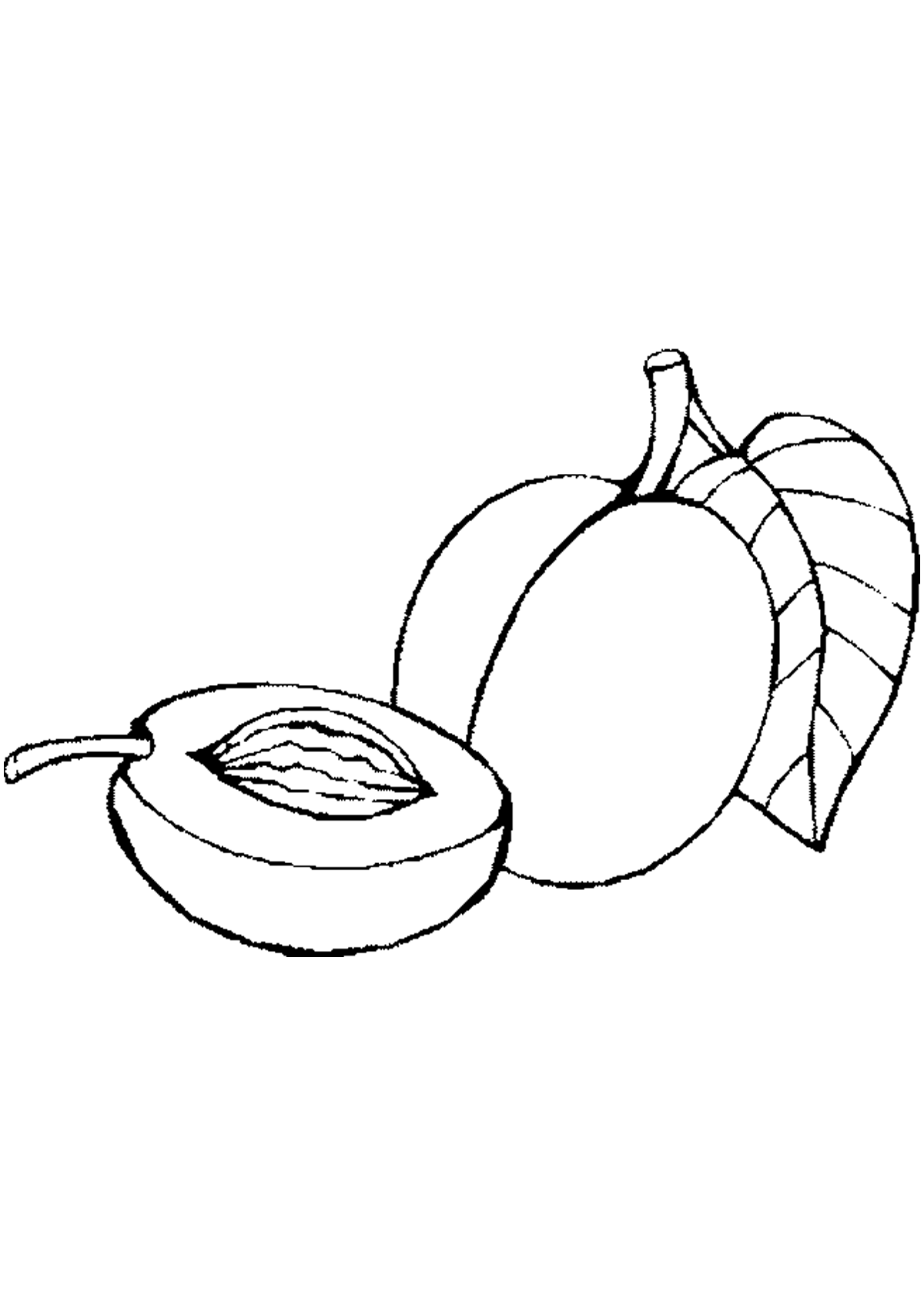 Картинка Абрикос