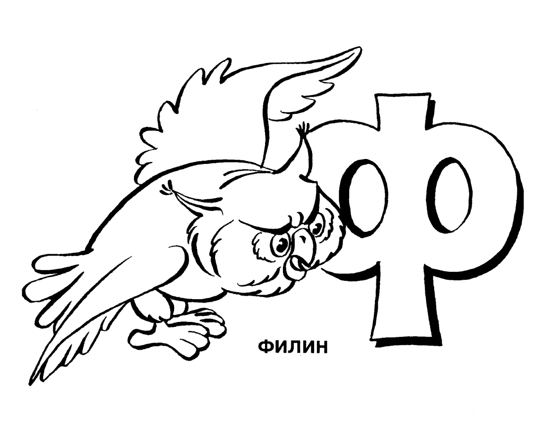 картинка филин