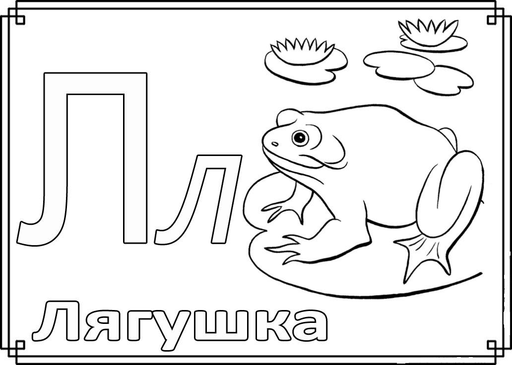 картинка лягушка