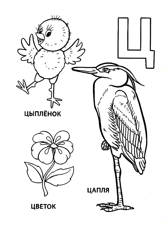 картинка цапля