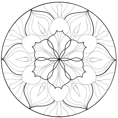 Картинка Цветы