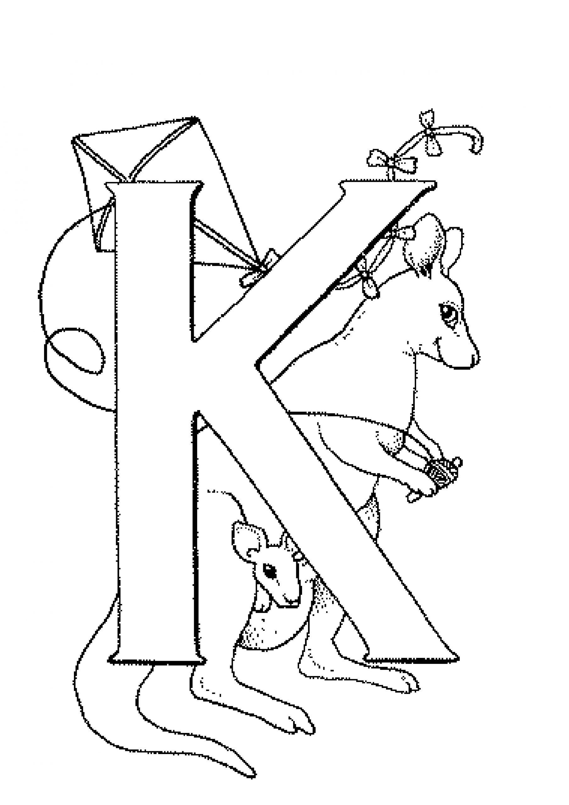 Кенгуру 2