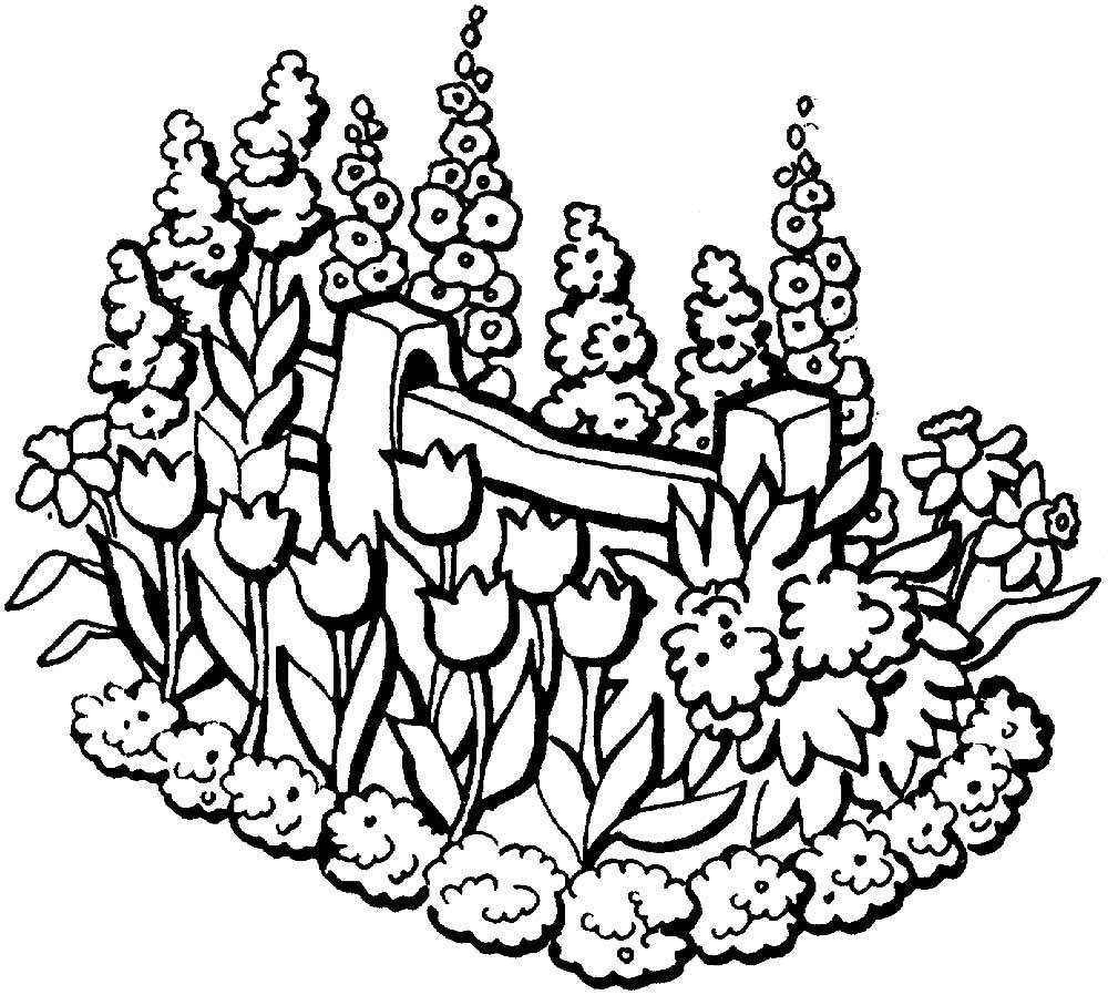Клумба с тюльпанами