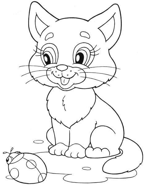 Кошечка