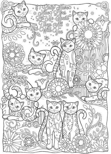 Кошки