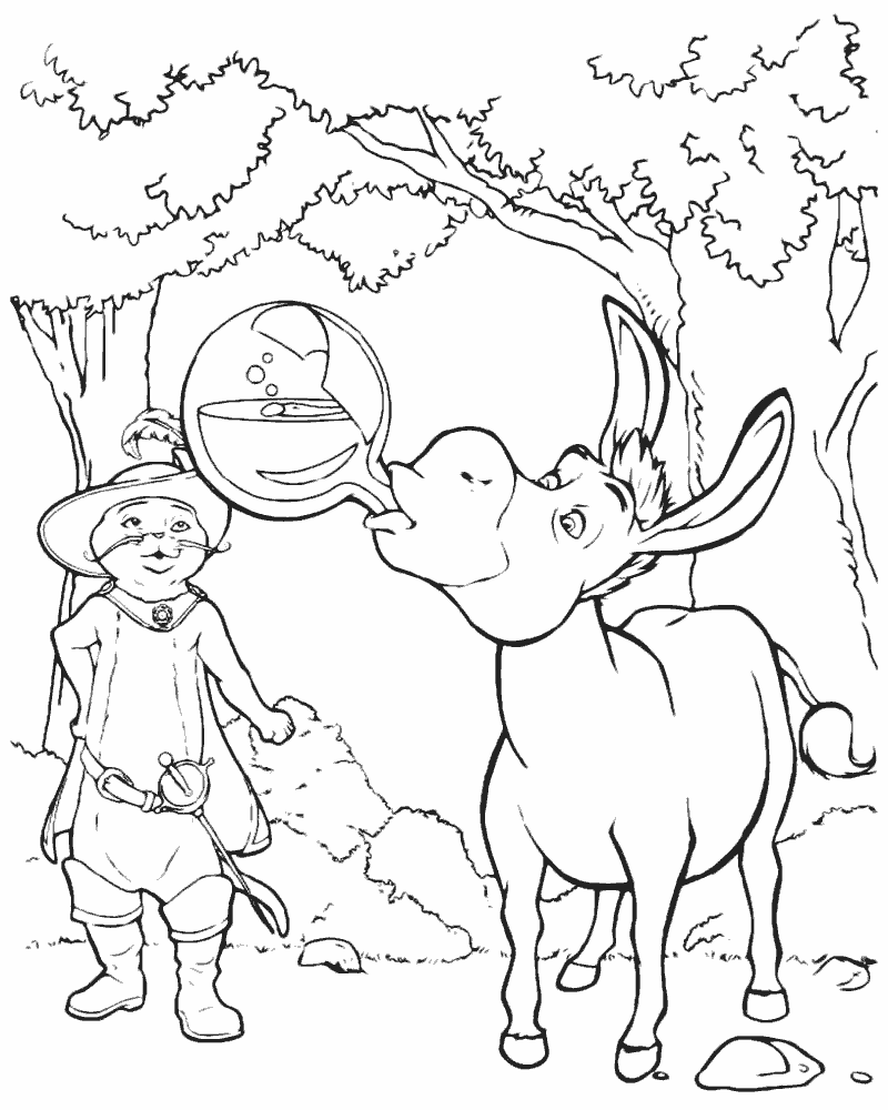 Кот и ослик