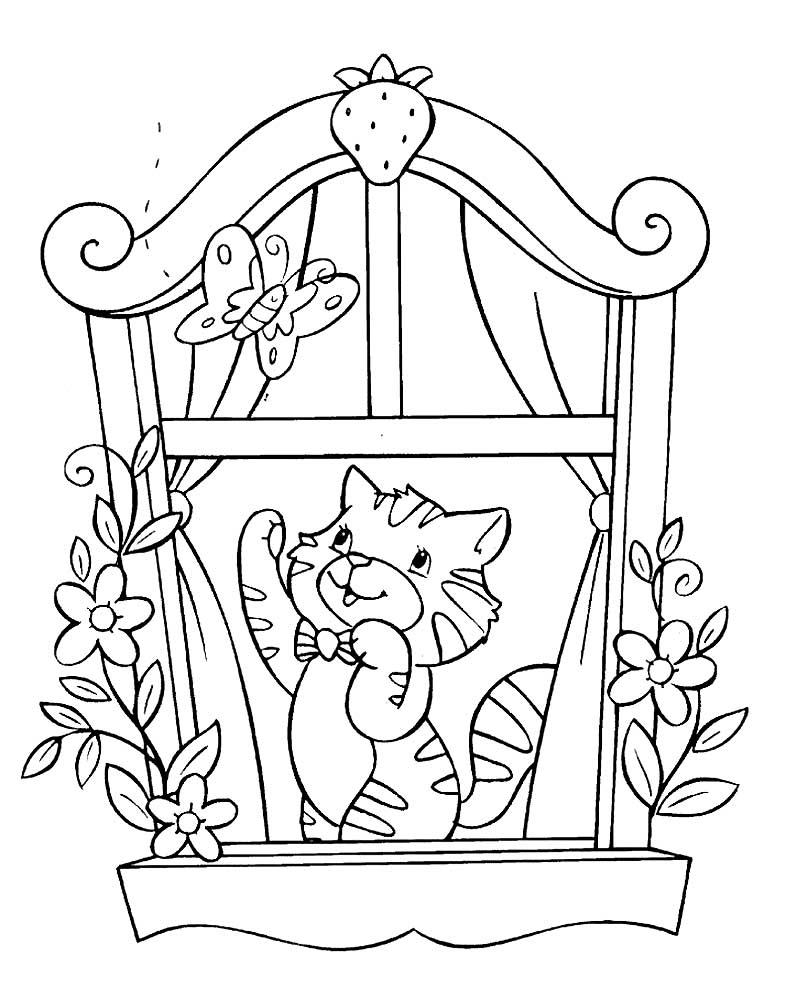 Кот на окне