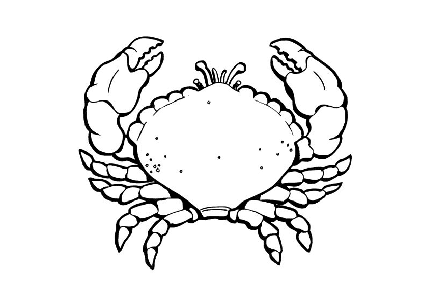 Крабик