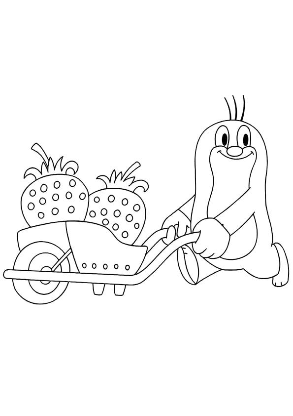 Крот с тачкой