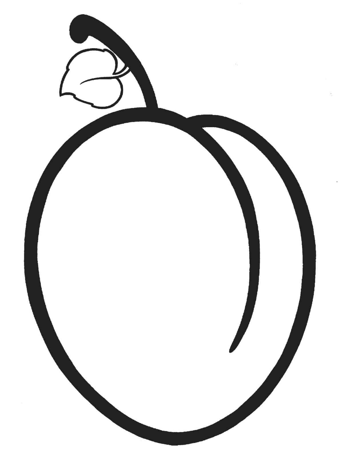 Крупная слива
