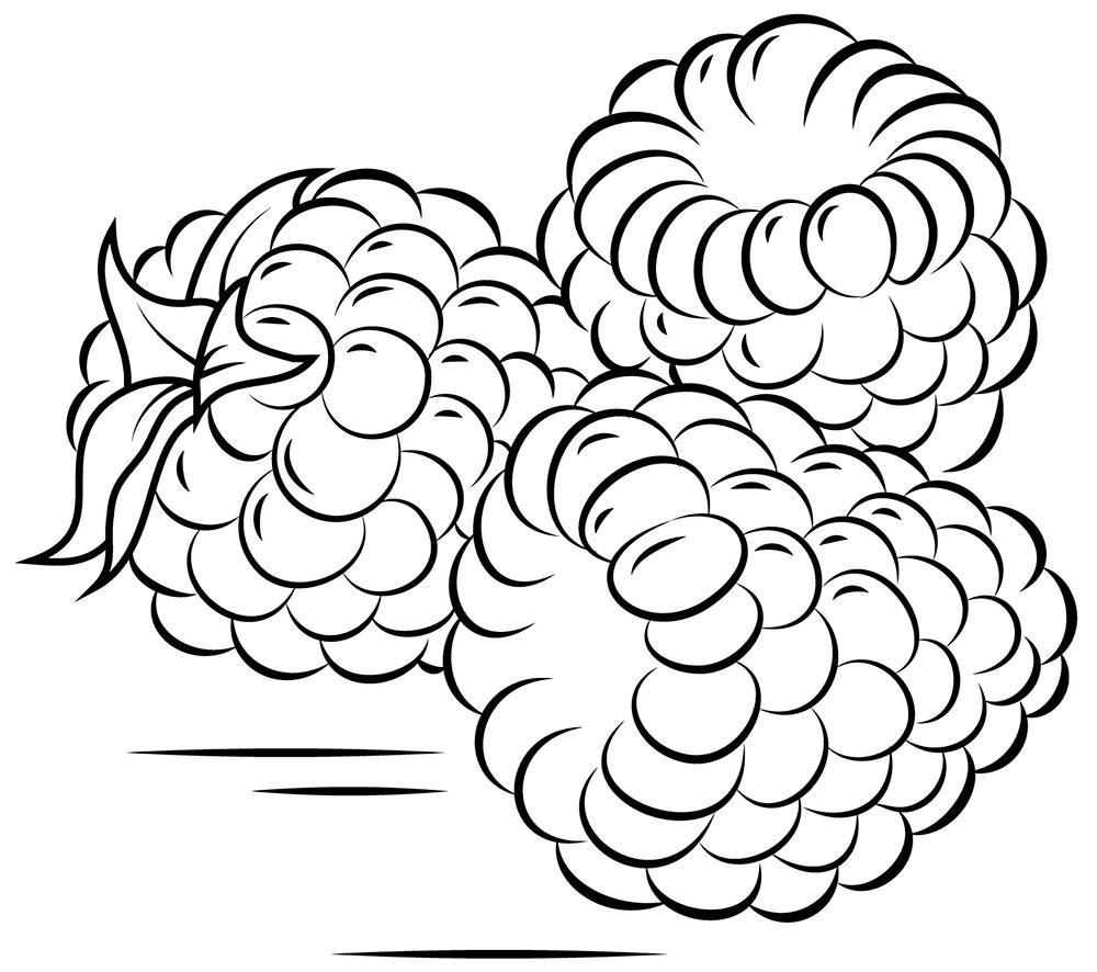 Кучка малины