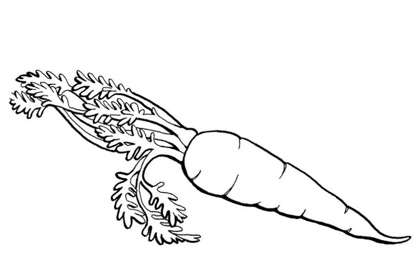 Лакомство кролика