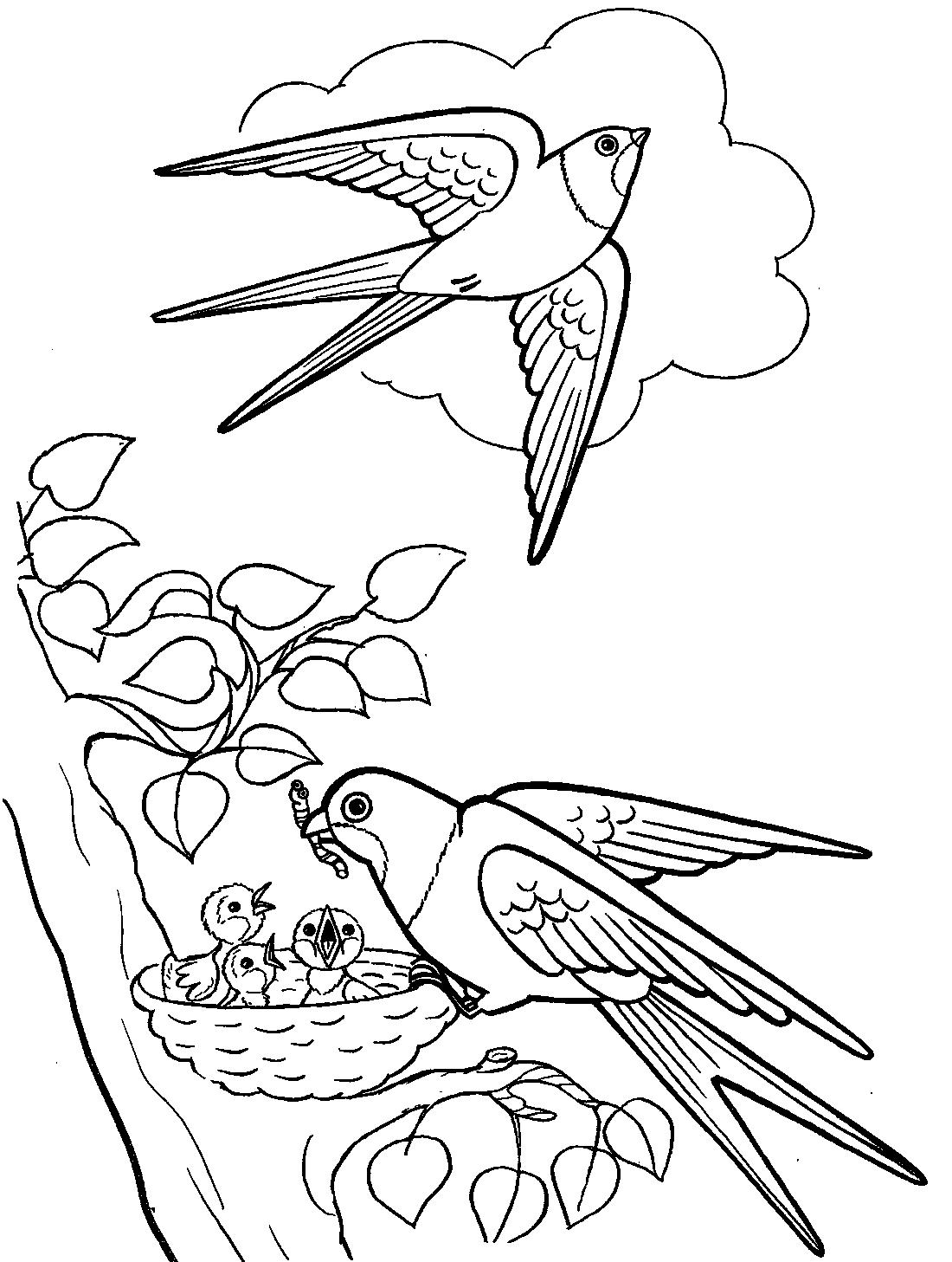 ласточки в гнезде