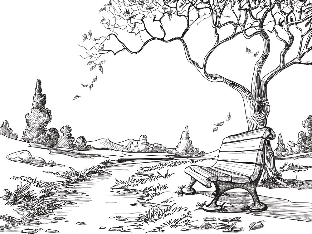 Лавочка в парке