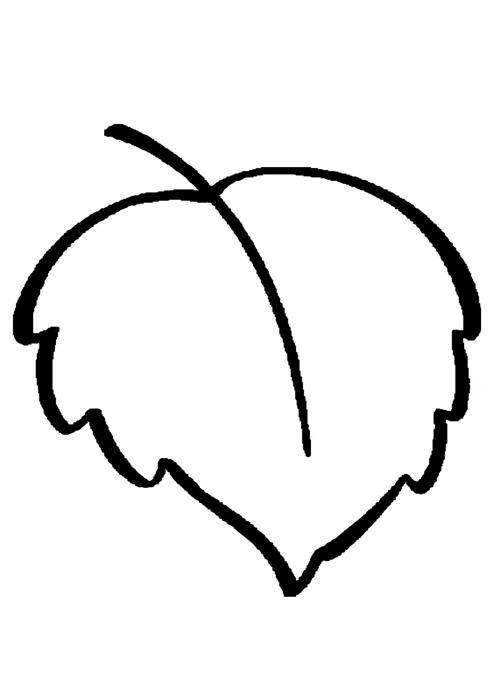 Лист березы