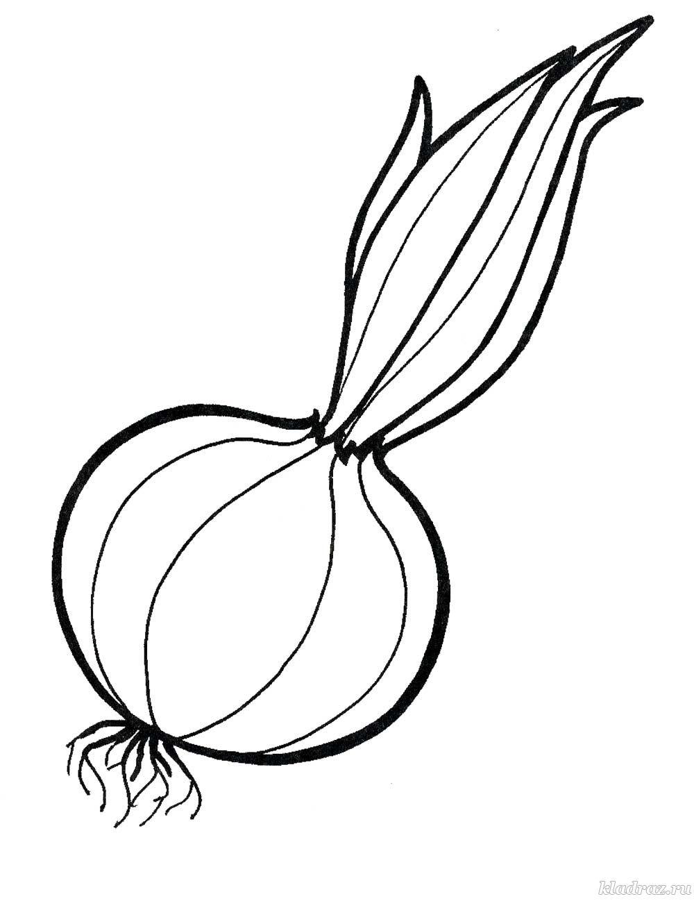 Лук