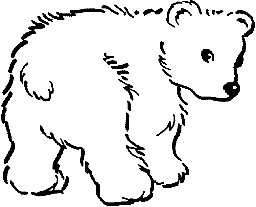 Медвежонок 2