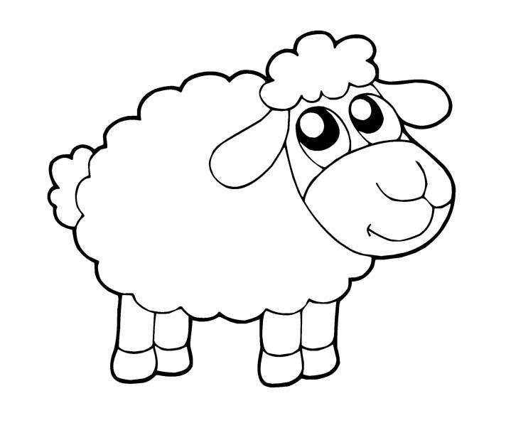 Милая овечка