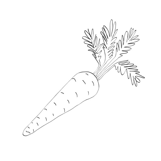 Морковь с грядки