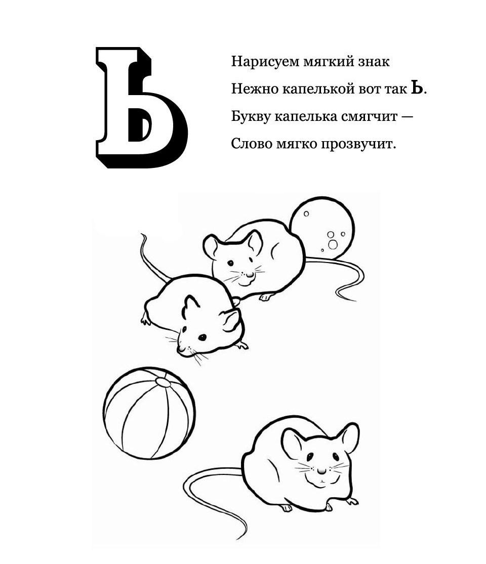 Мышь