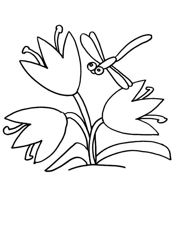 Над цветком