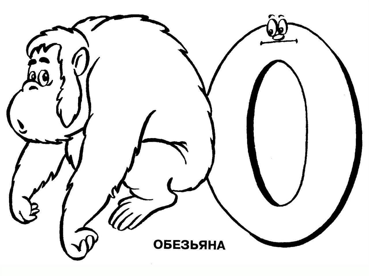 Обезьяна