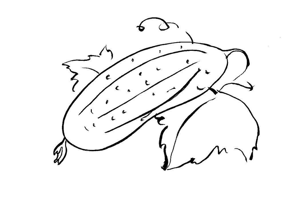 Огурец раскраска