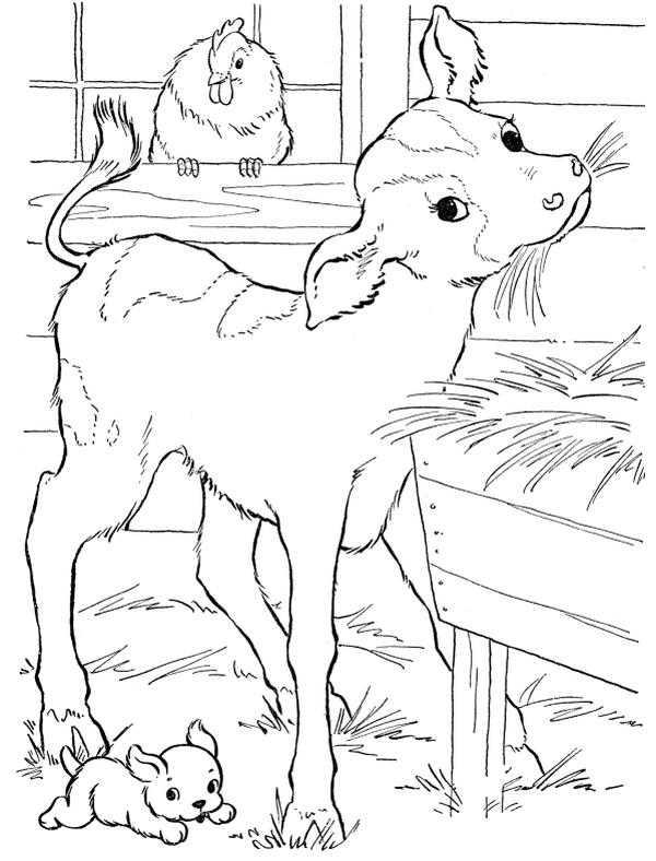 Овечка 2