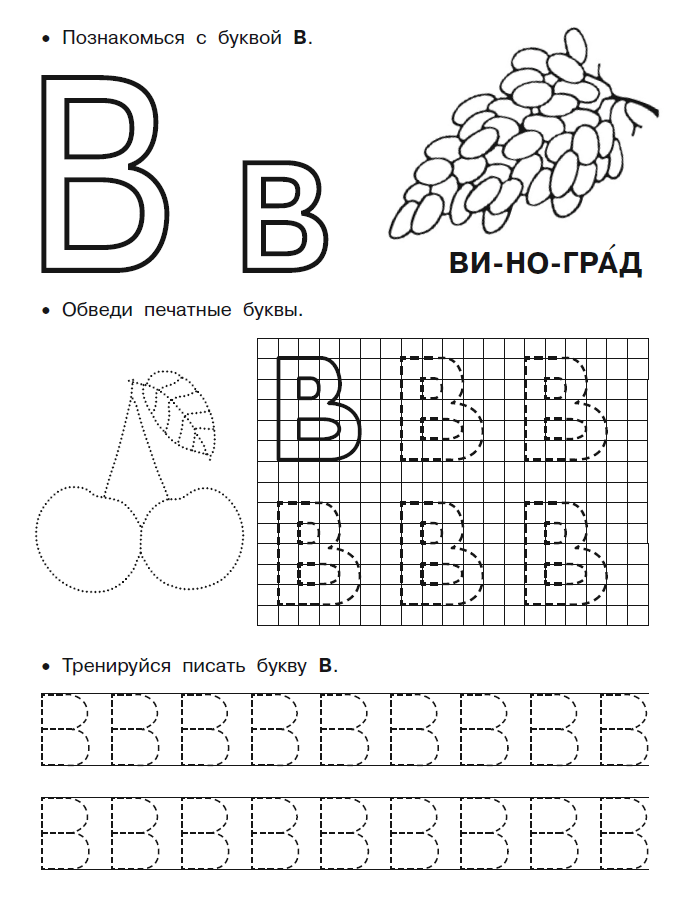 Прописи буквы В