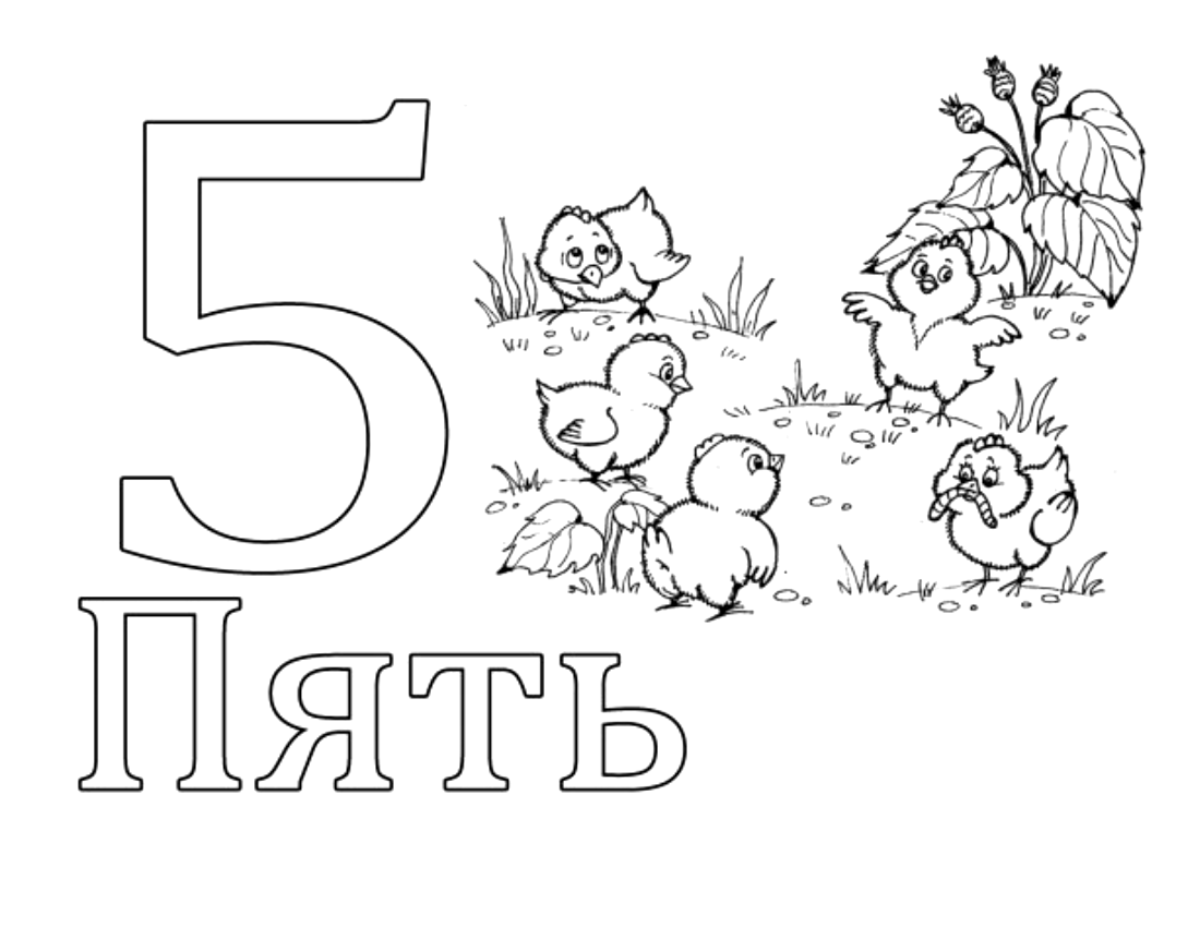 пять цыплят