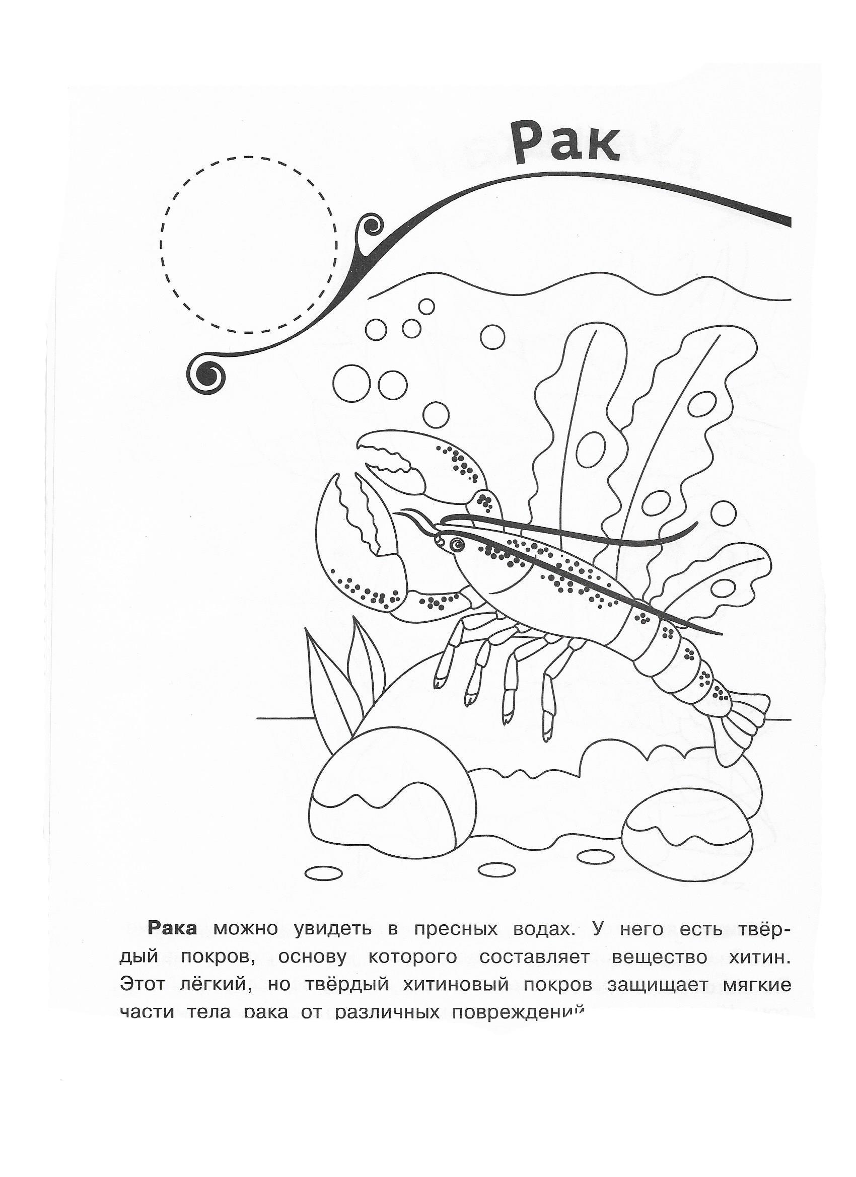 Рак 2