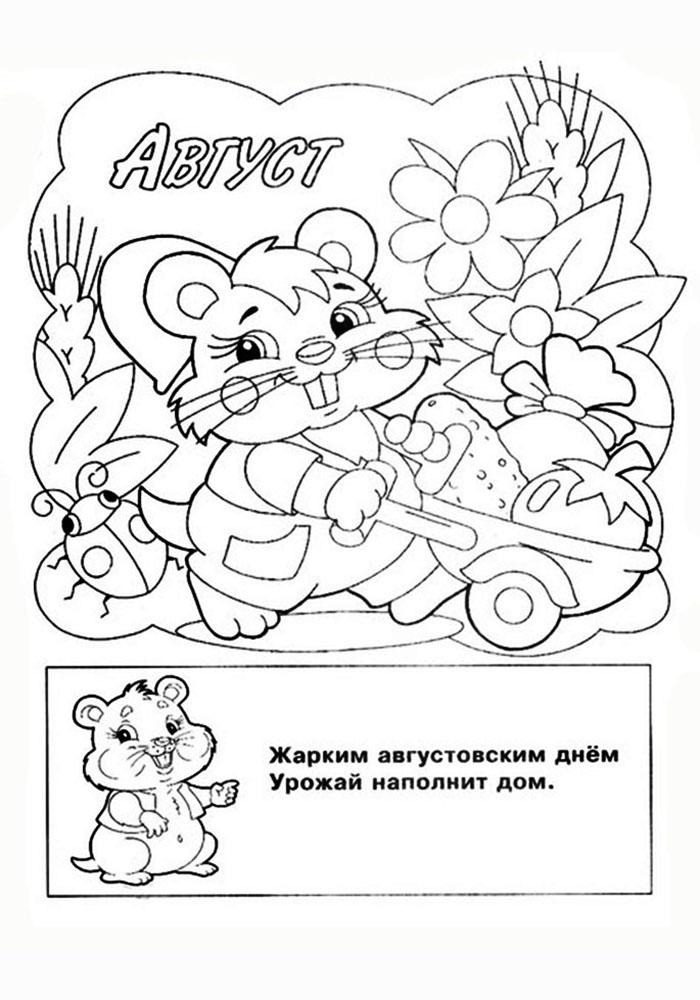 Раскраска Август