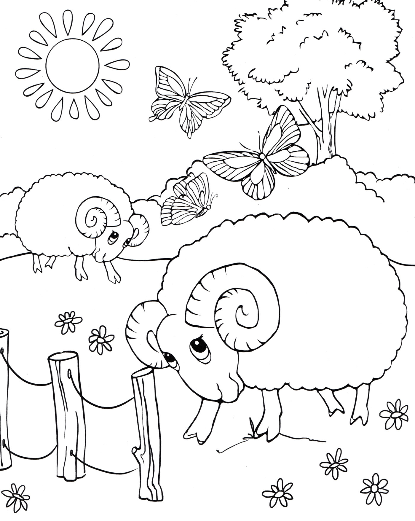 Раскраска Бараны пасутся на лугу