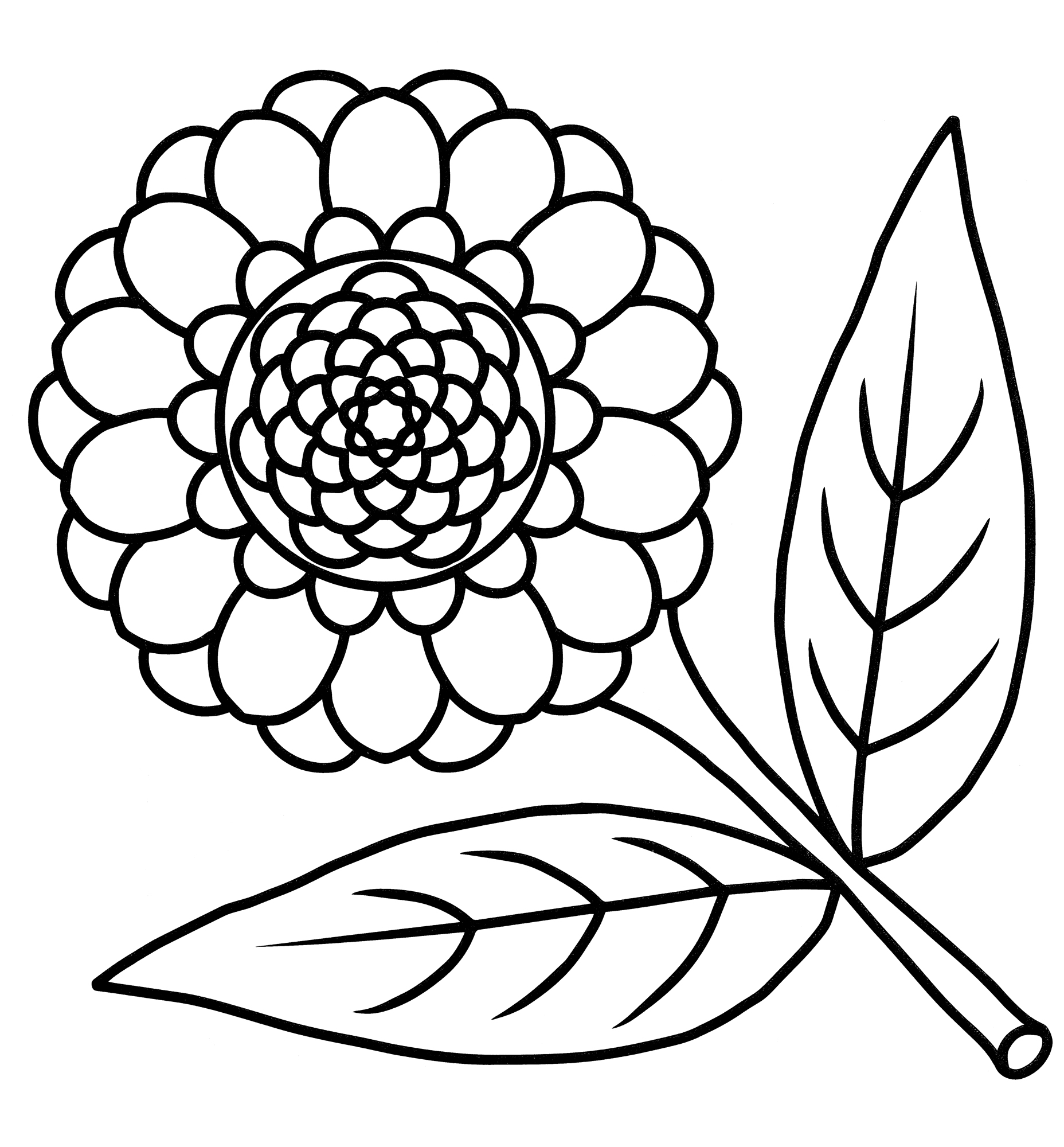 Раскраска Большой и пышный подсолнух