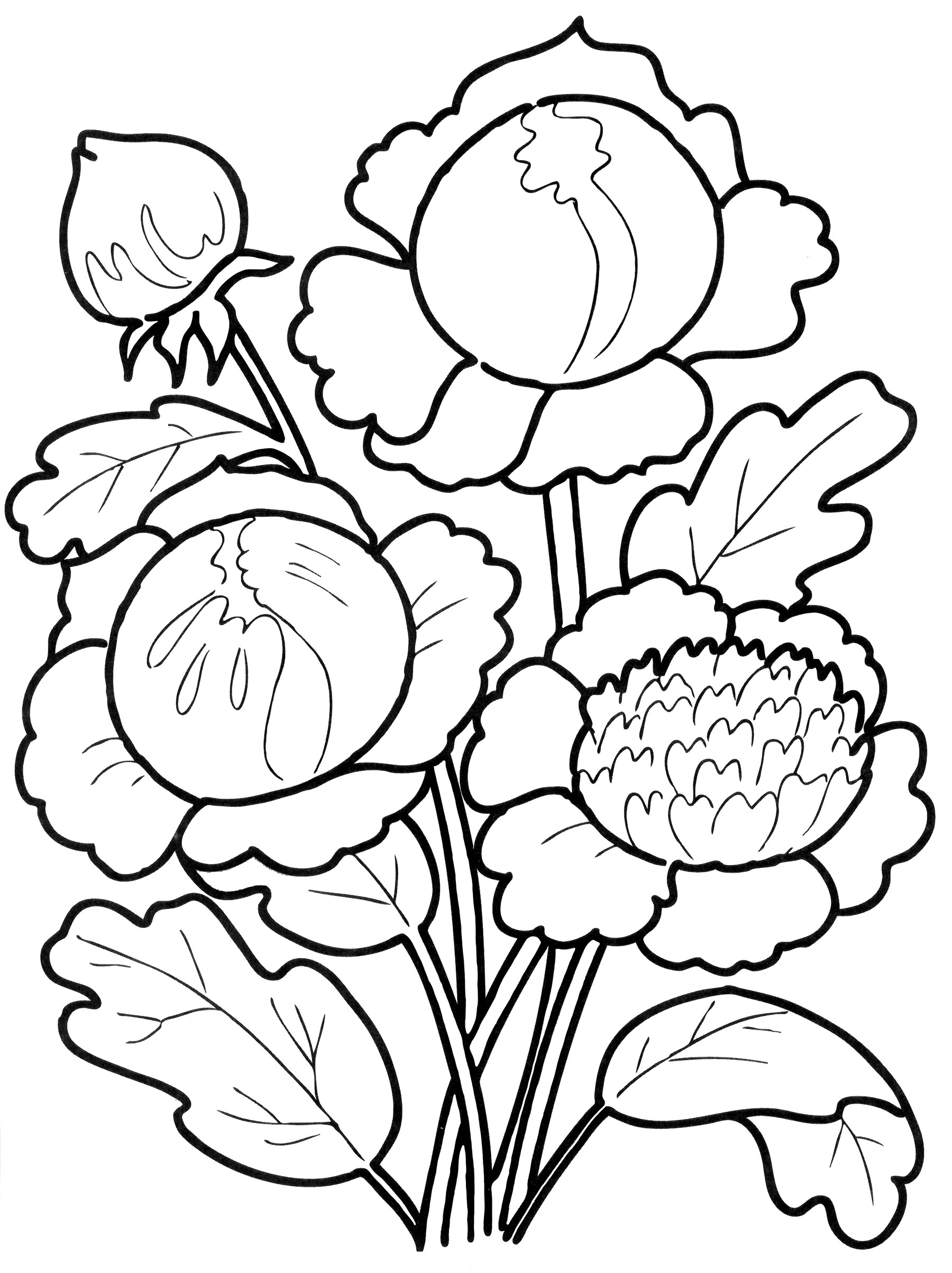 Раскраска Букет пионов