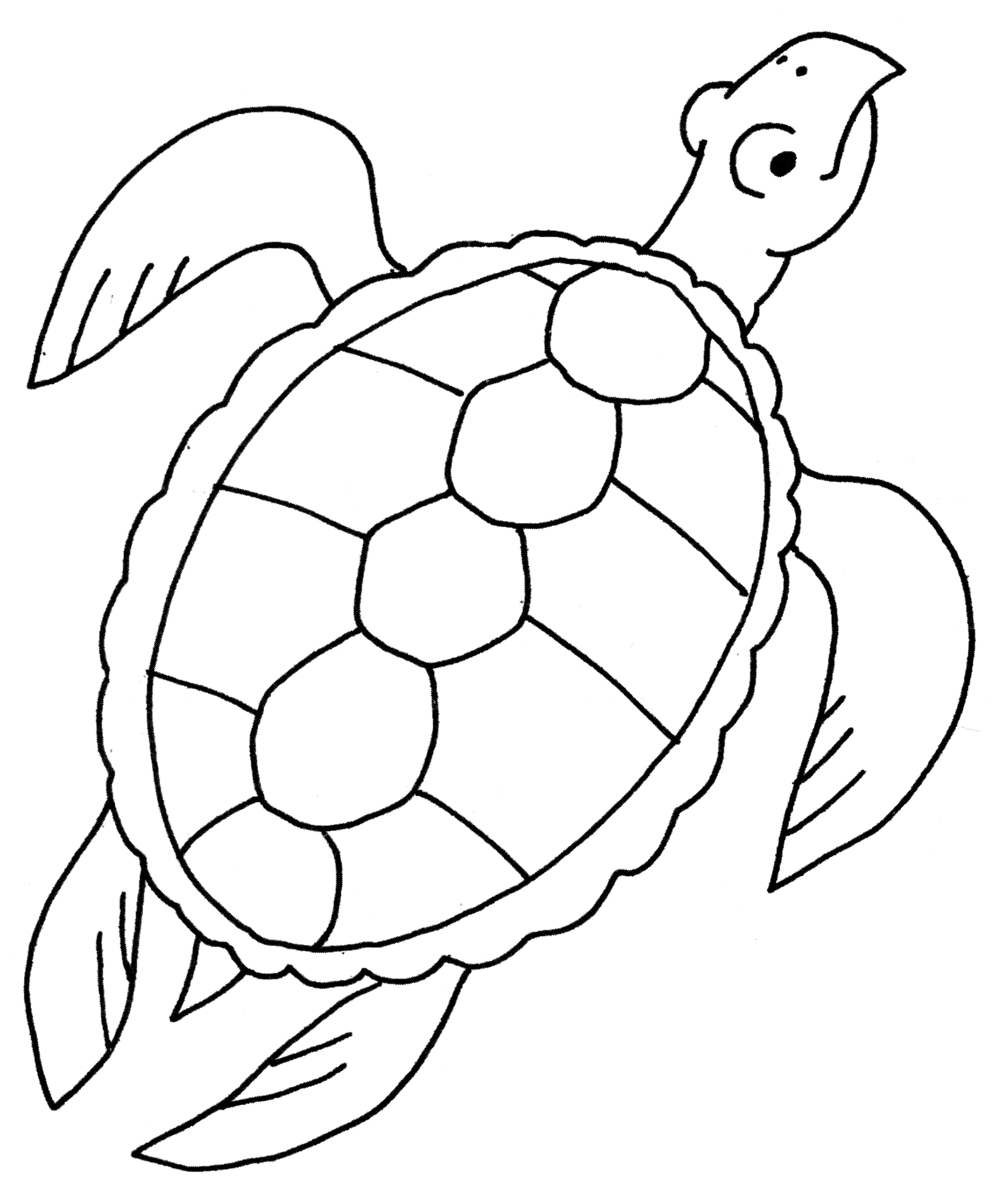Раскраска Черепаха плывет