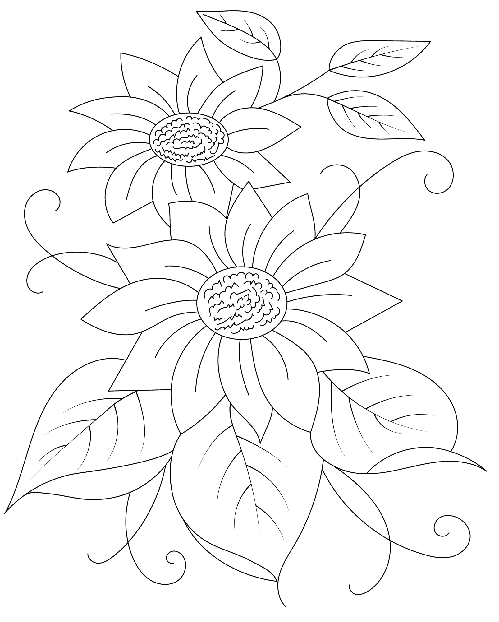 Раскраска Два подсолнуха с листочками
