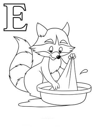 Раскраска енот полоскун