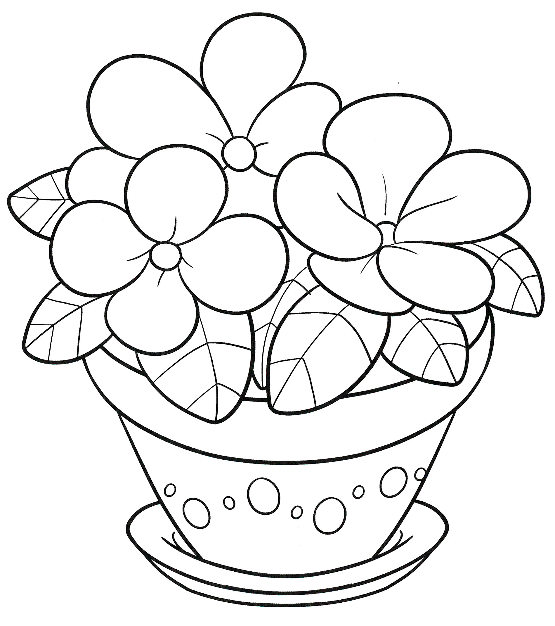 Раскраска Фиалки в горшке