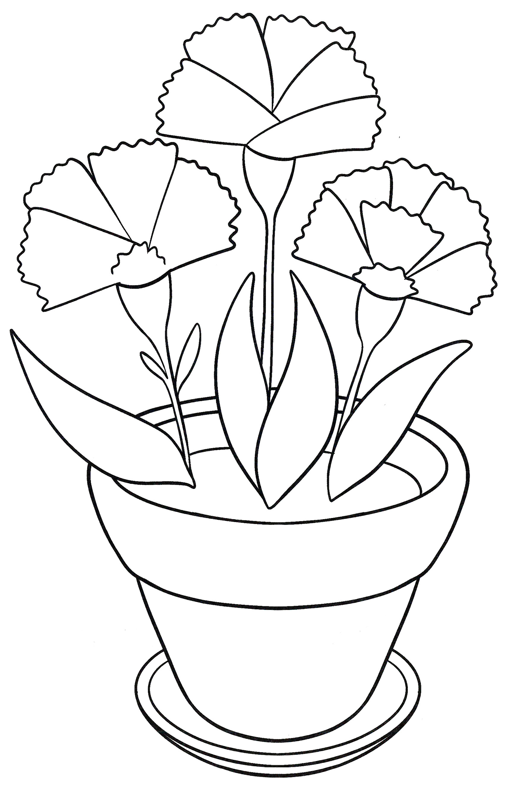 Раскраска Гвоздика в горшочке