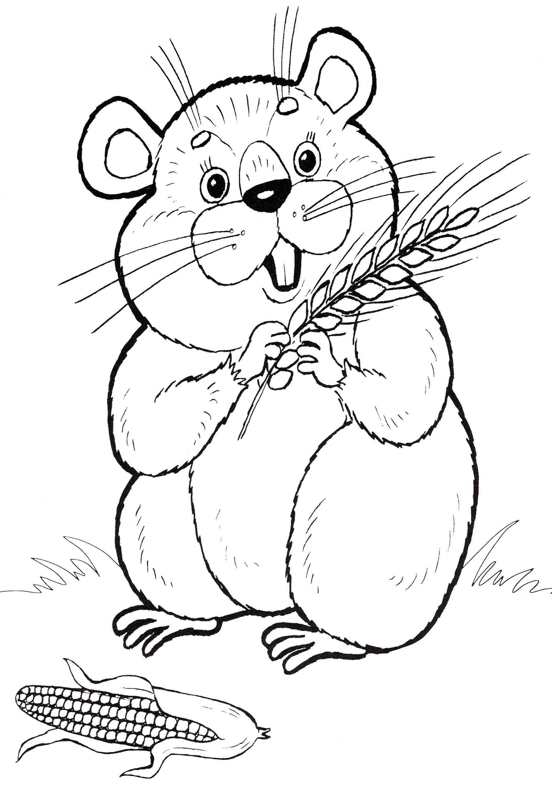 Раскраска Хомячок кушает