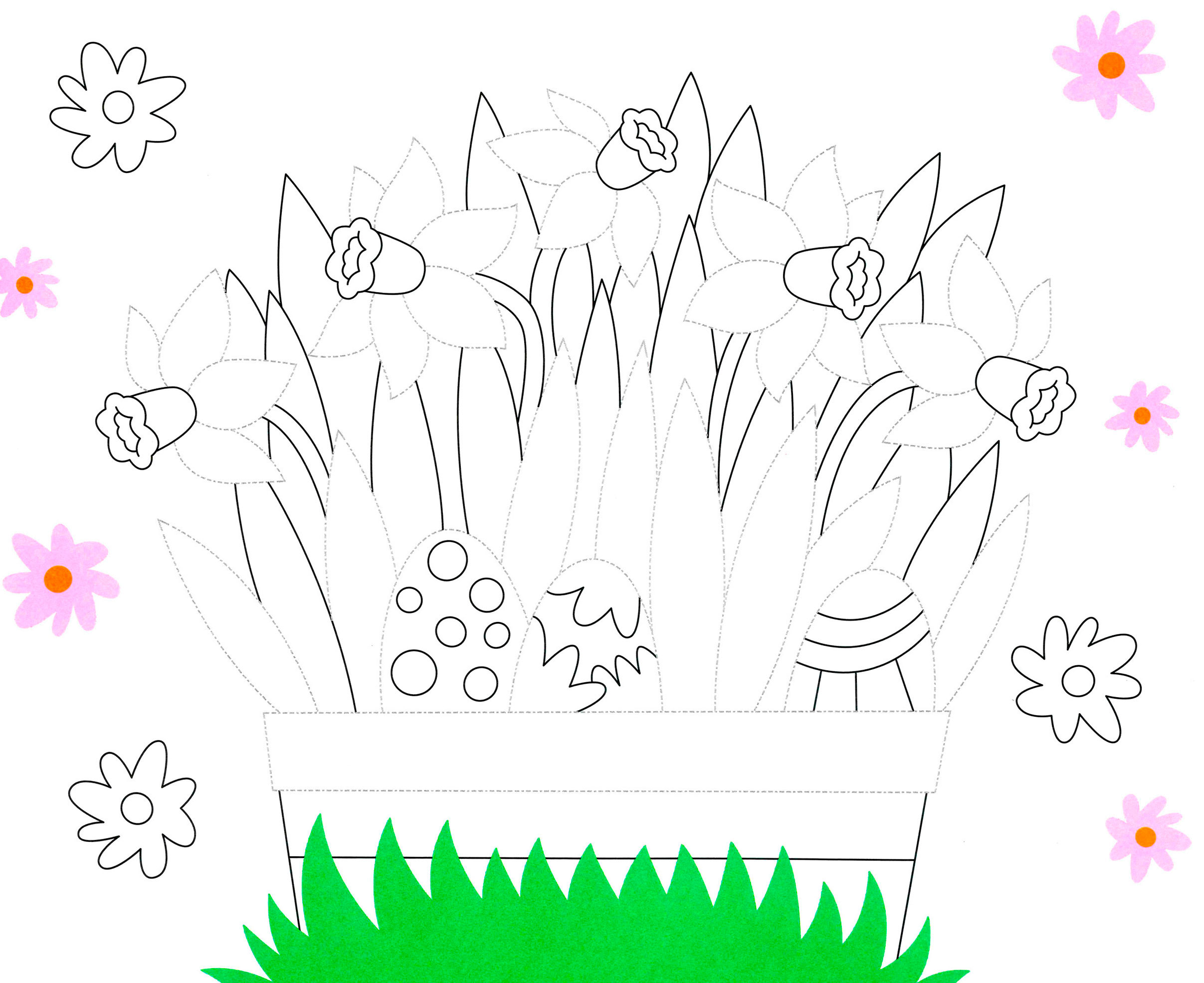 Раскраска Корзина нарциссов