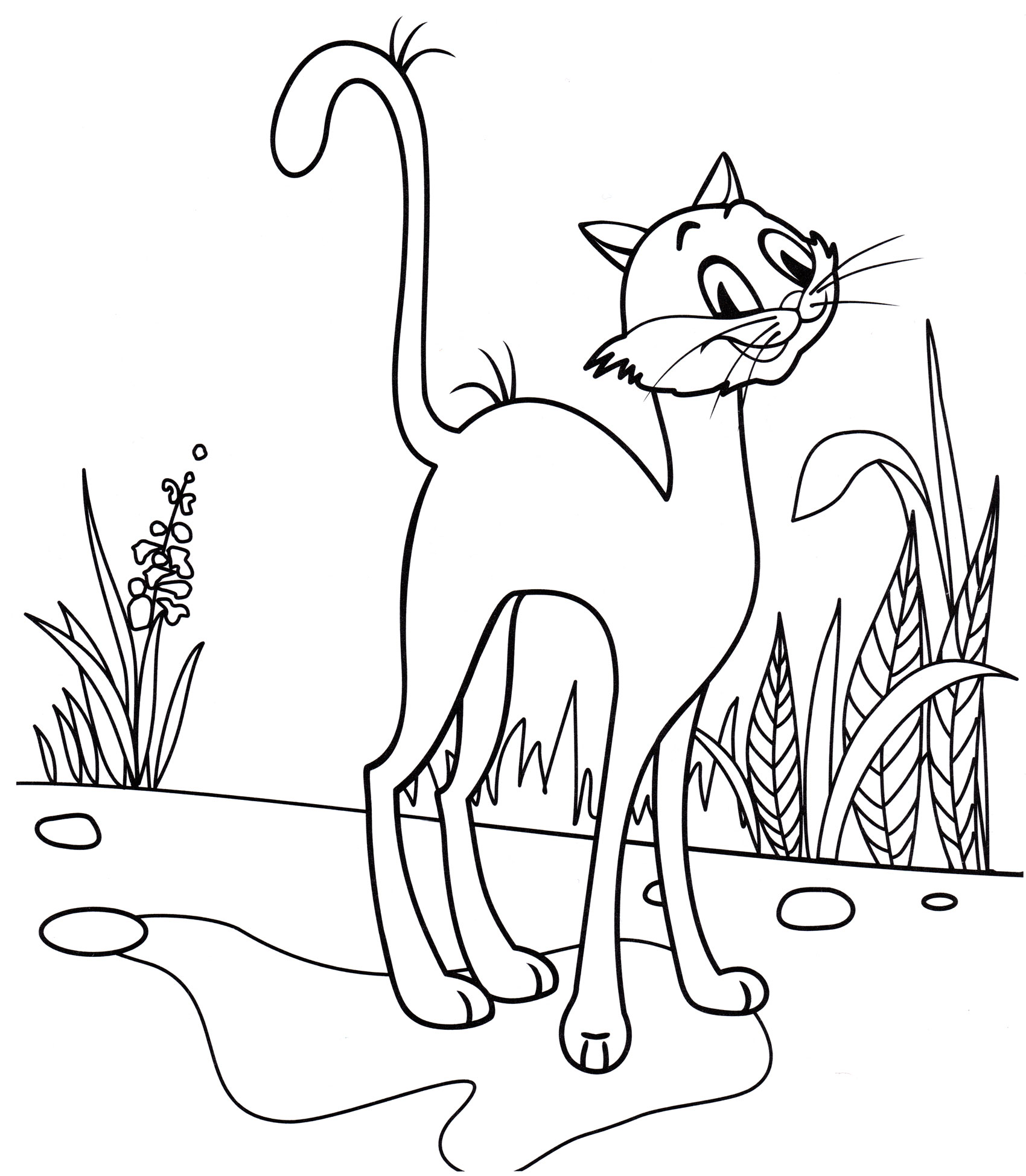 Раскраска Кот во дворе