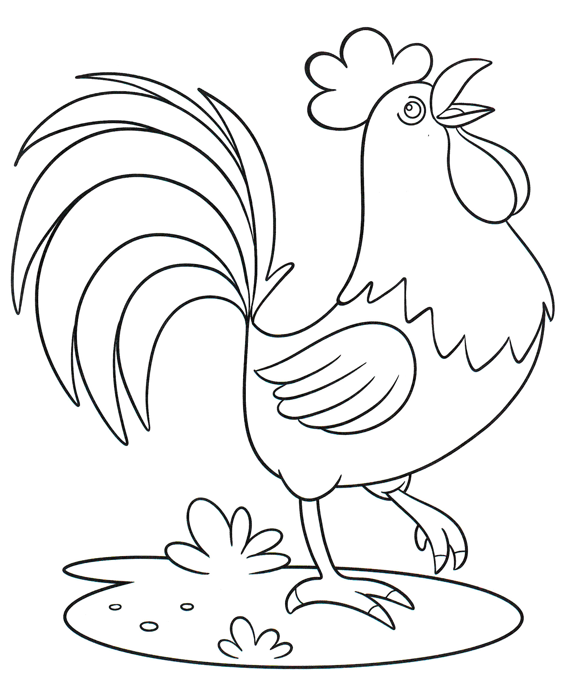 Раскраска Красавец петушок