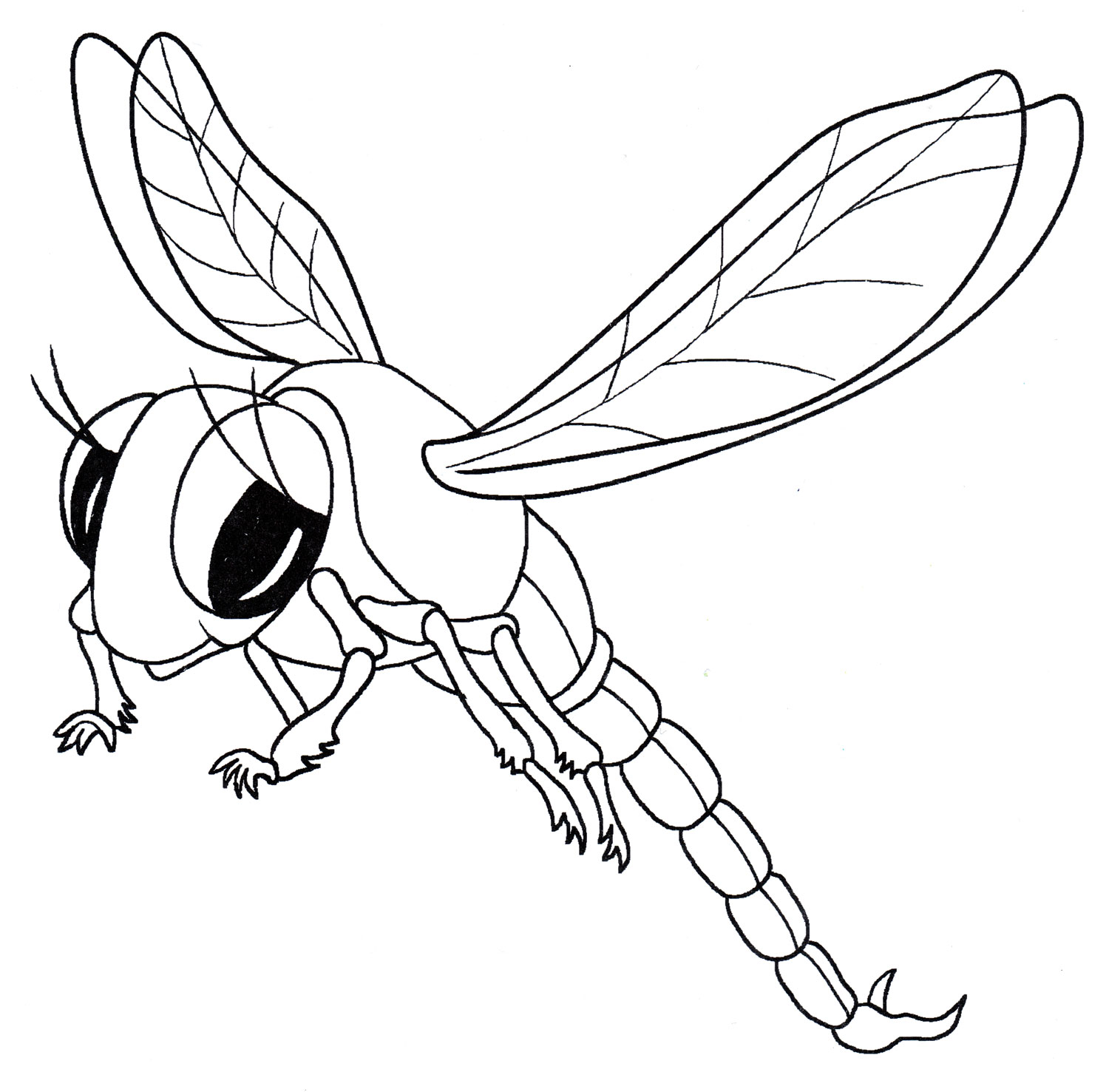 Раскраска Красивая стрекоза