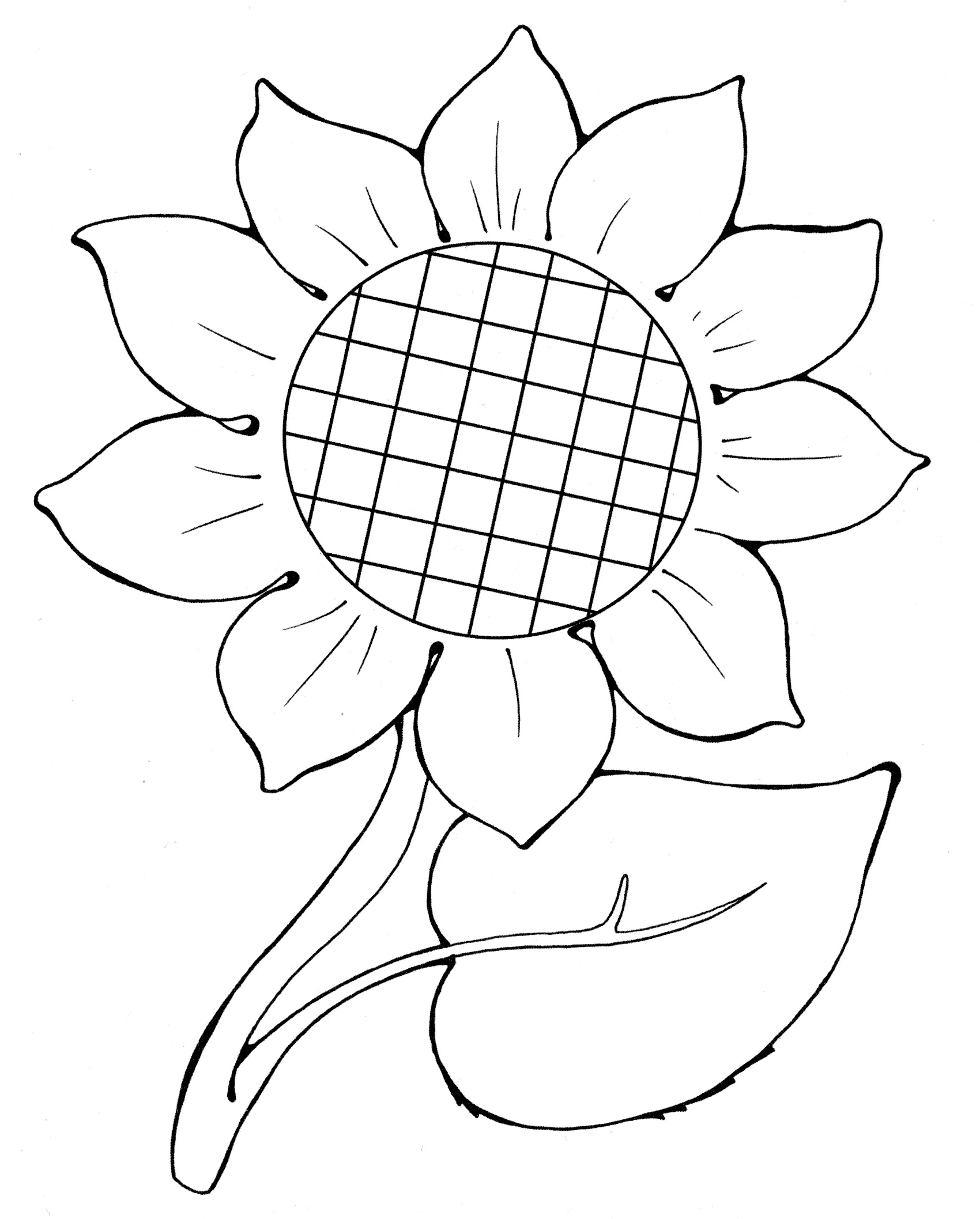 Раскраска Красивый подсолнух