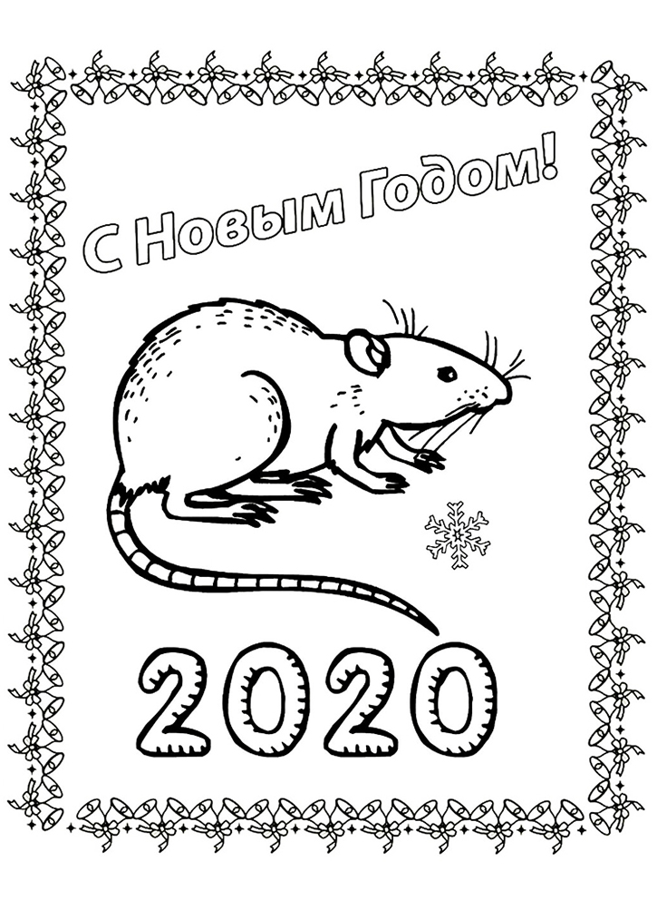 Раскраска крыса